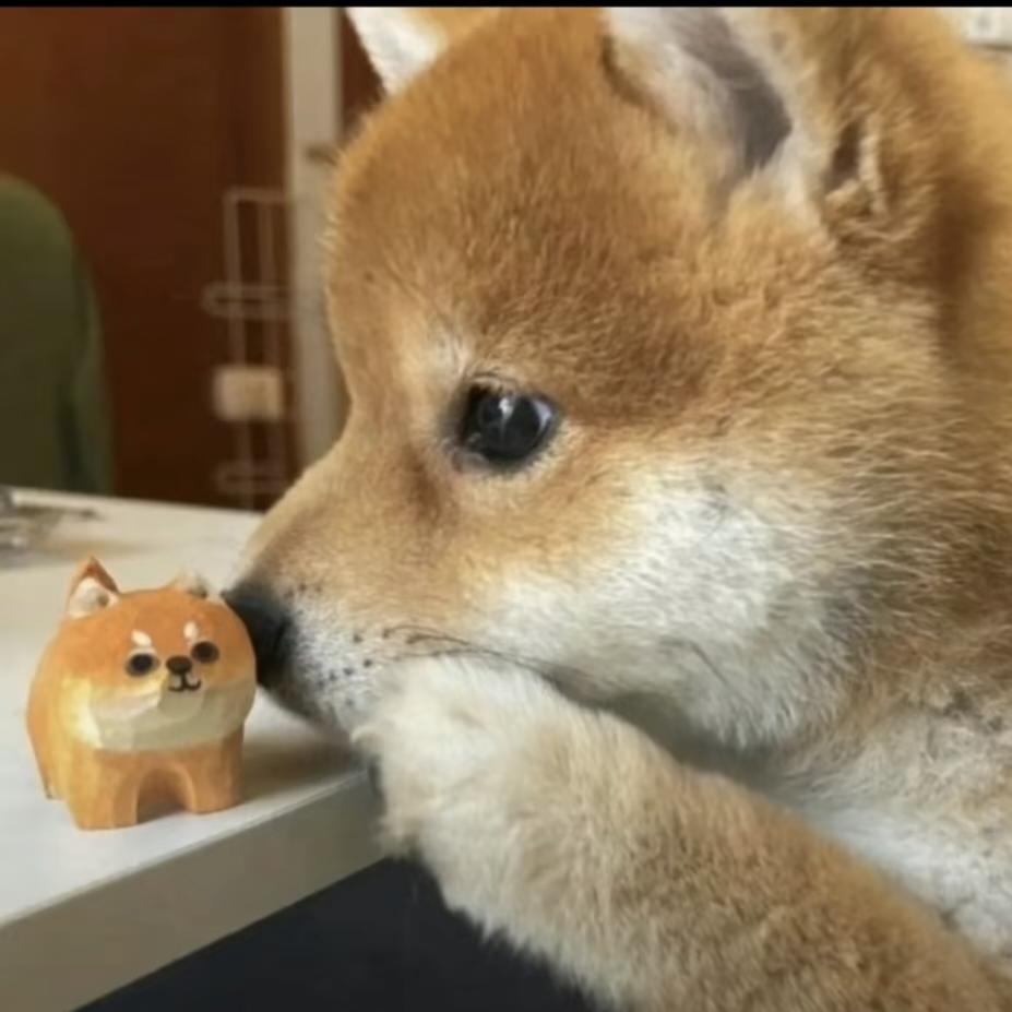 狗蛋大王