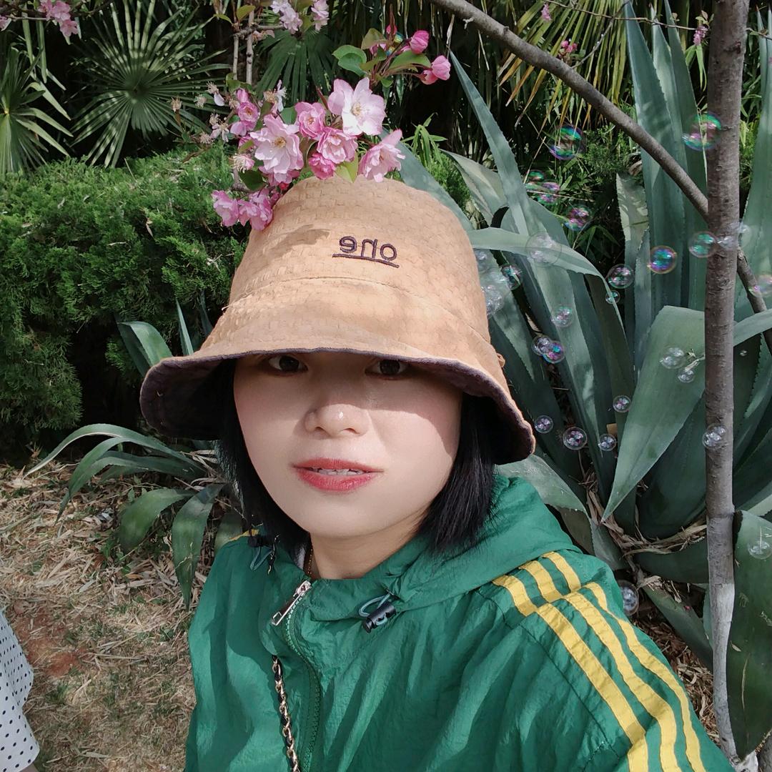 芬分姐