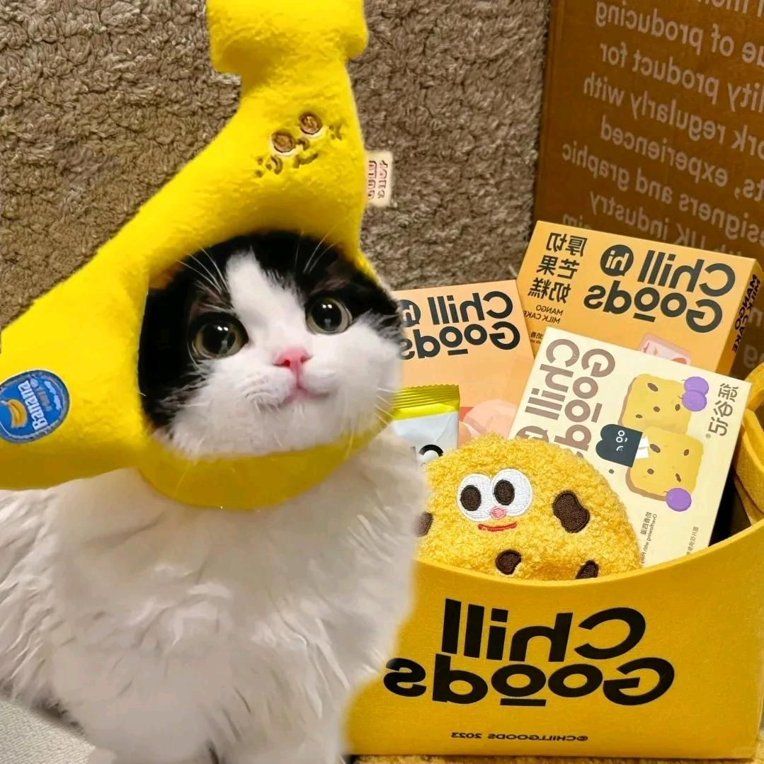 dal.