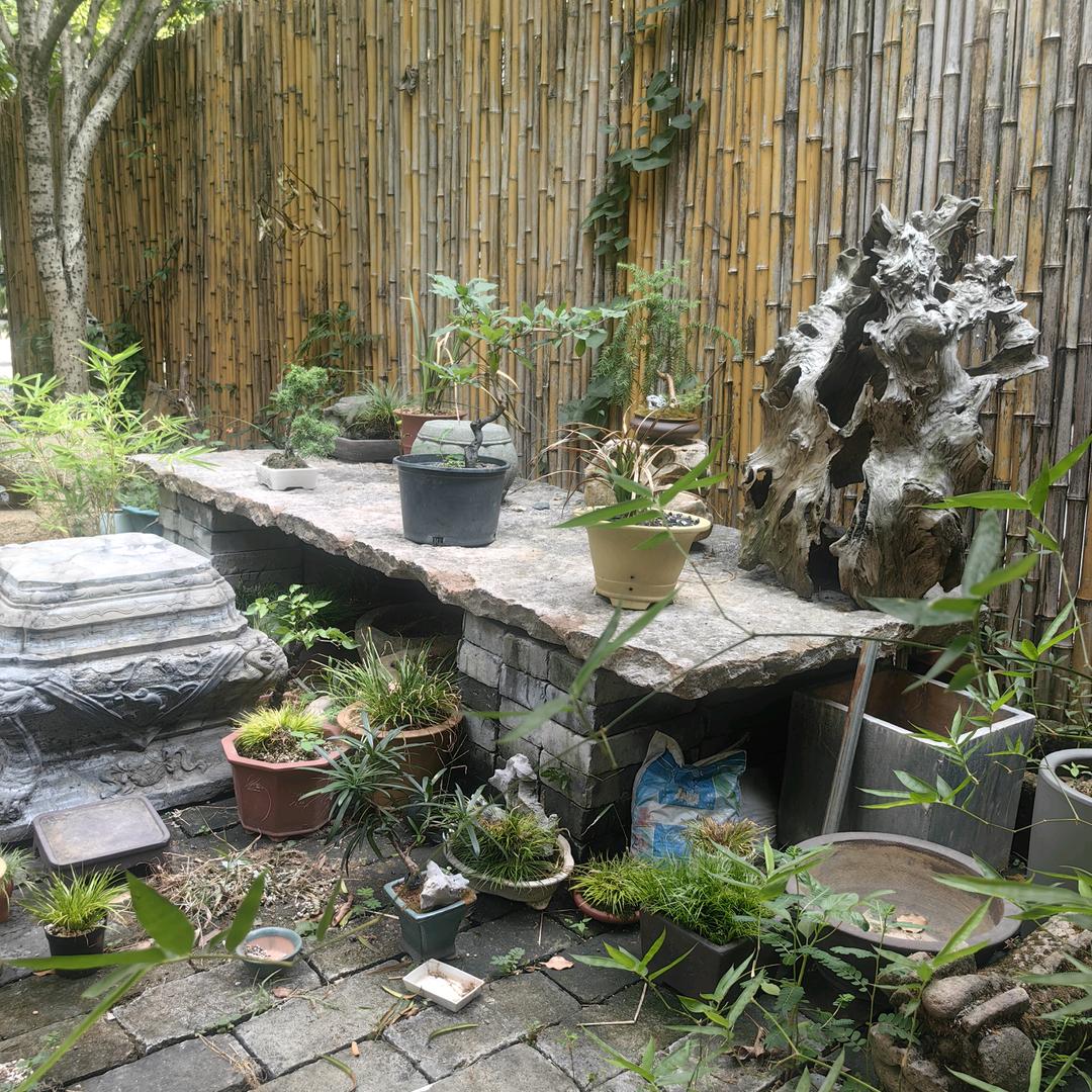 小小的花园里挖呀挖