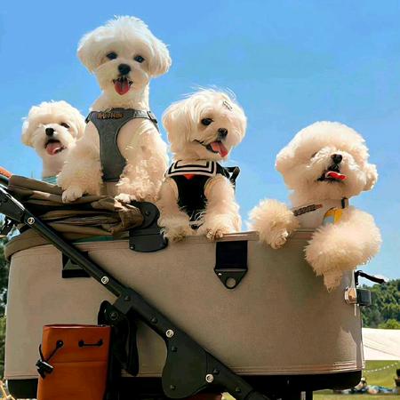 ℒøṽℯ¹³¹⁴不发脾气只发财