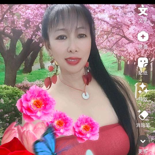 🌹🌹单身秋香🌹🌹