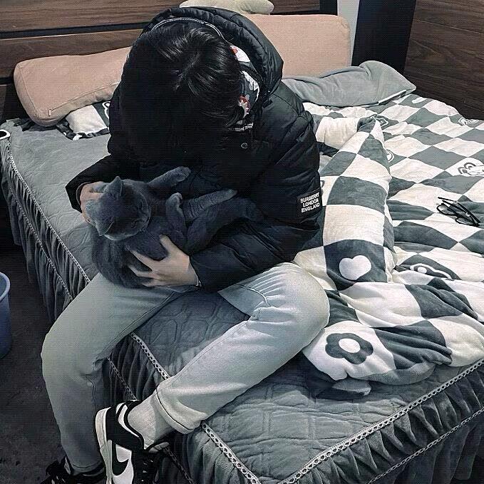 哈皮波斯王子