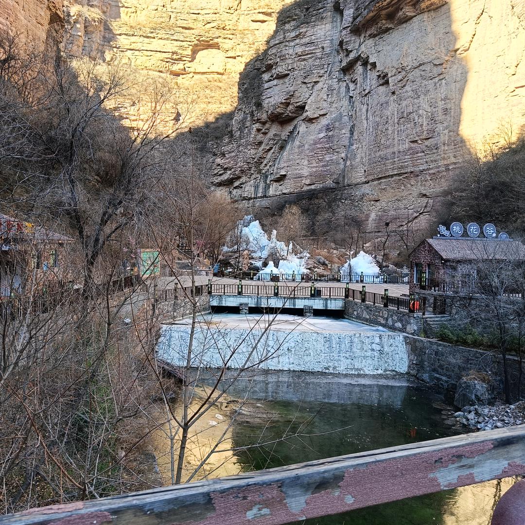 上海岚柯岚国际贸易有限公司