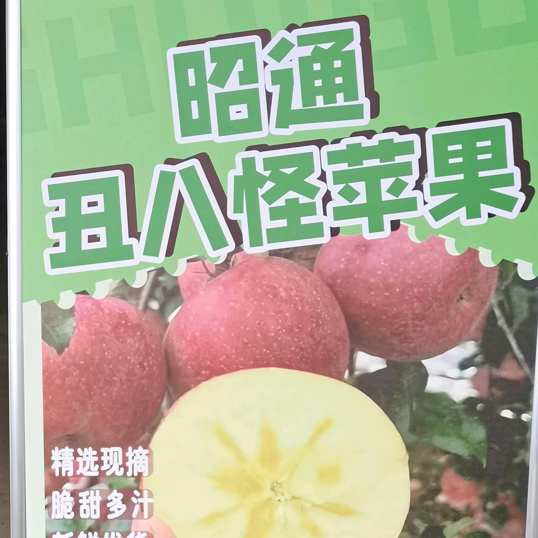 云南昭通苹果批发零售
