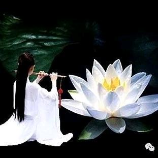 三世因果（化解）张老师.