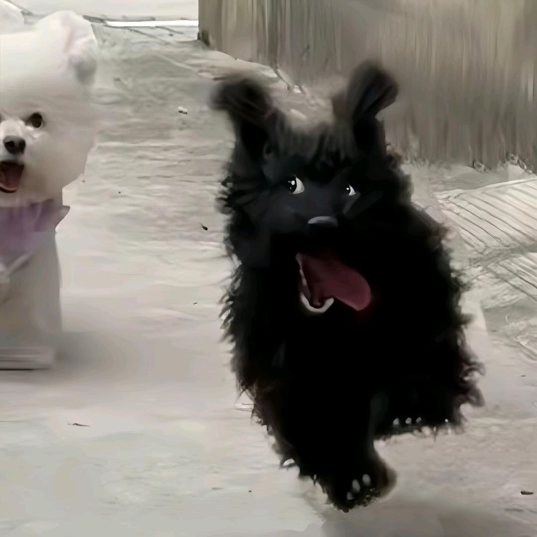 瑜人