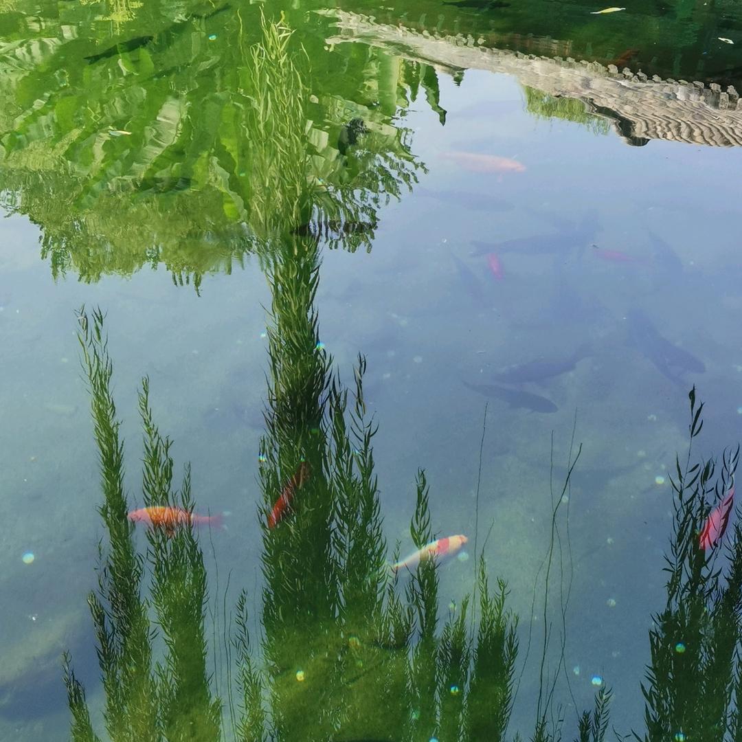 木子
