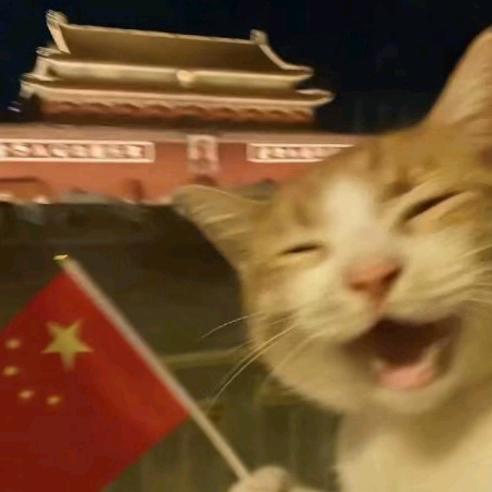 柒笙