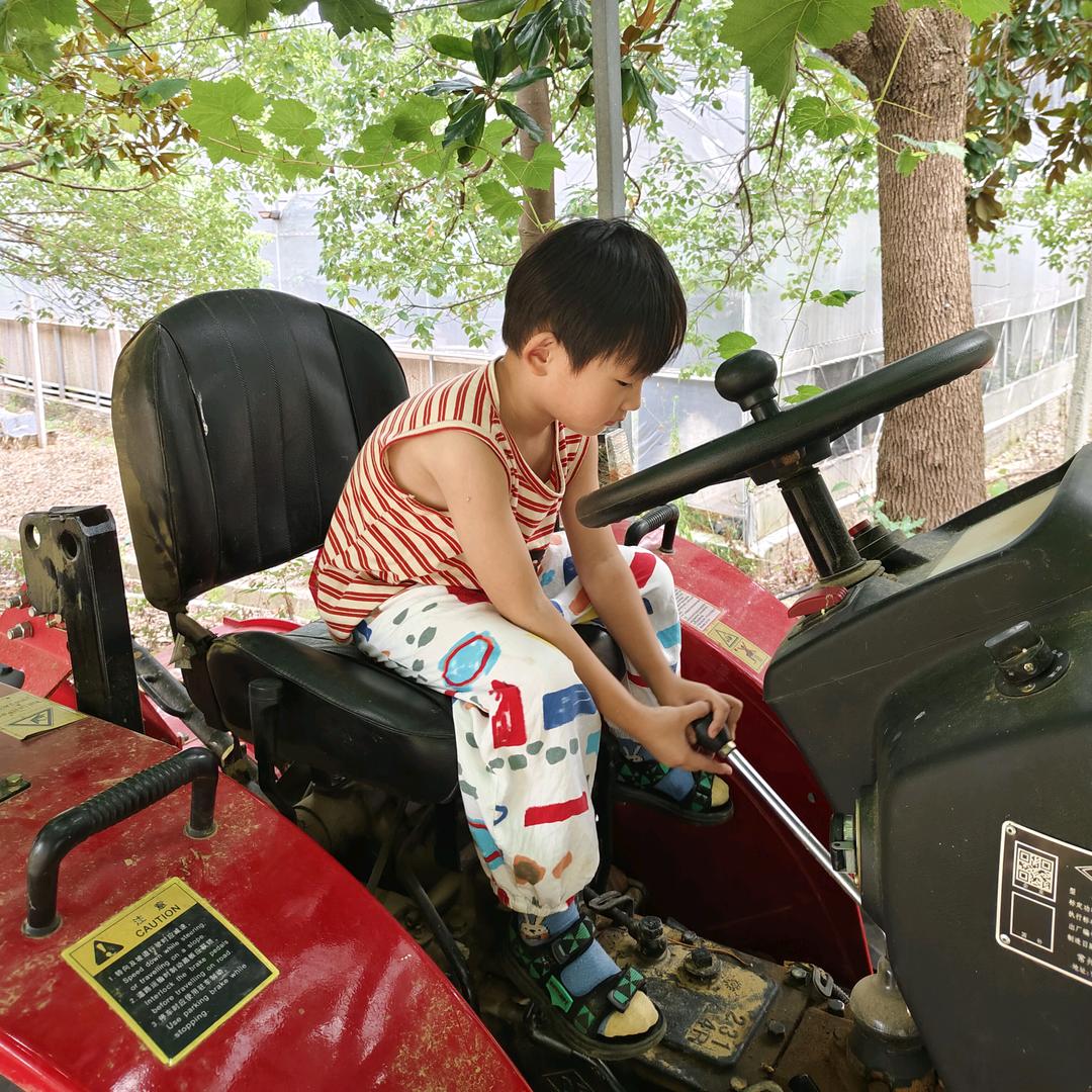 午兄（懿家关东煮）