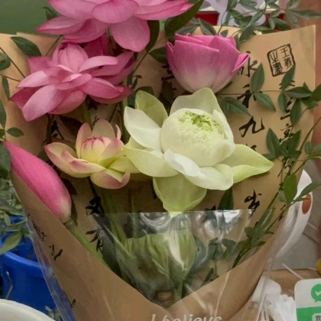 宁༊ღ᭄青💤争