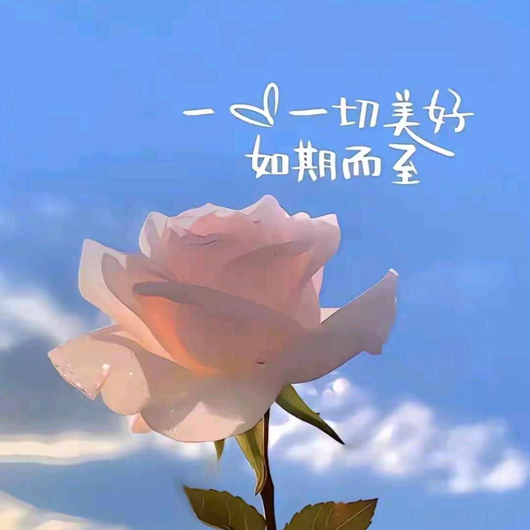 半糖心事