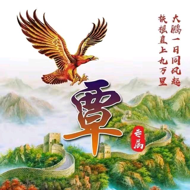 黑街