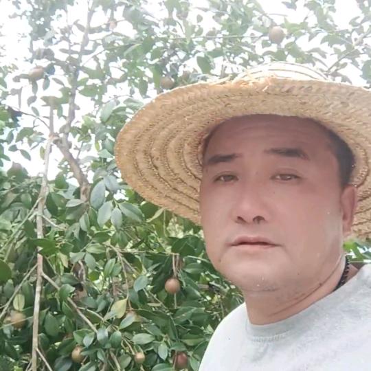 山羊养殖