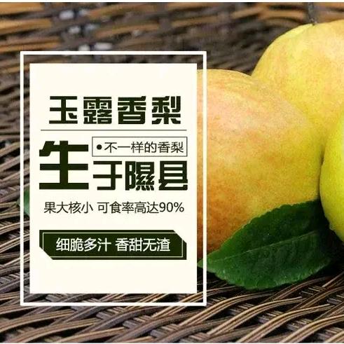 隰县高原玉露香梨，酥梨红富士苹果水果代办