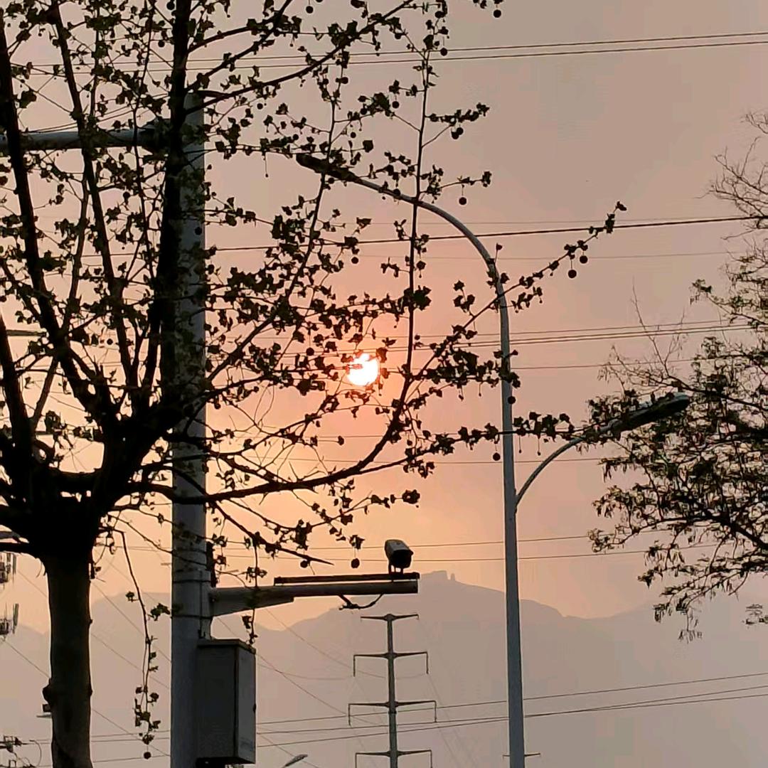 胖胖.