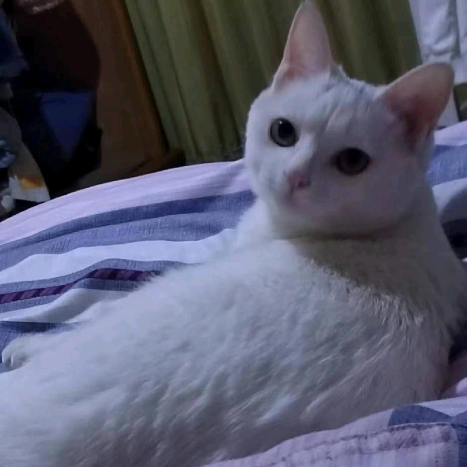 若隐朦胧才是美