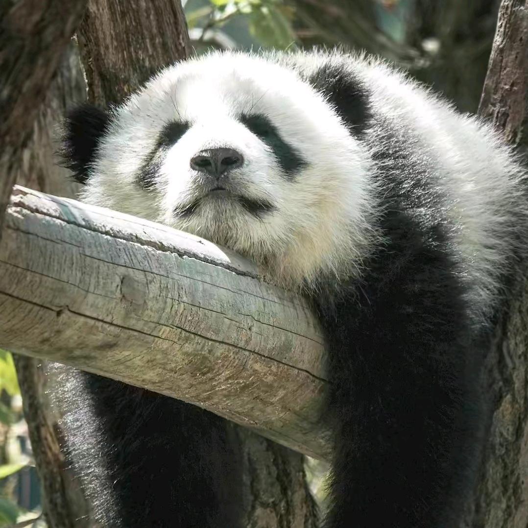 三点开会