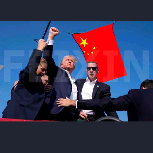 聪明的墨菲特