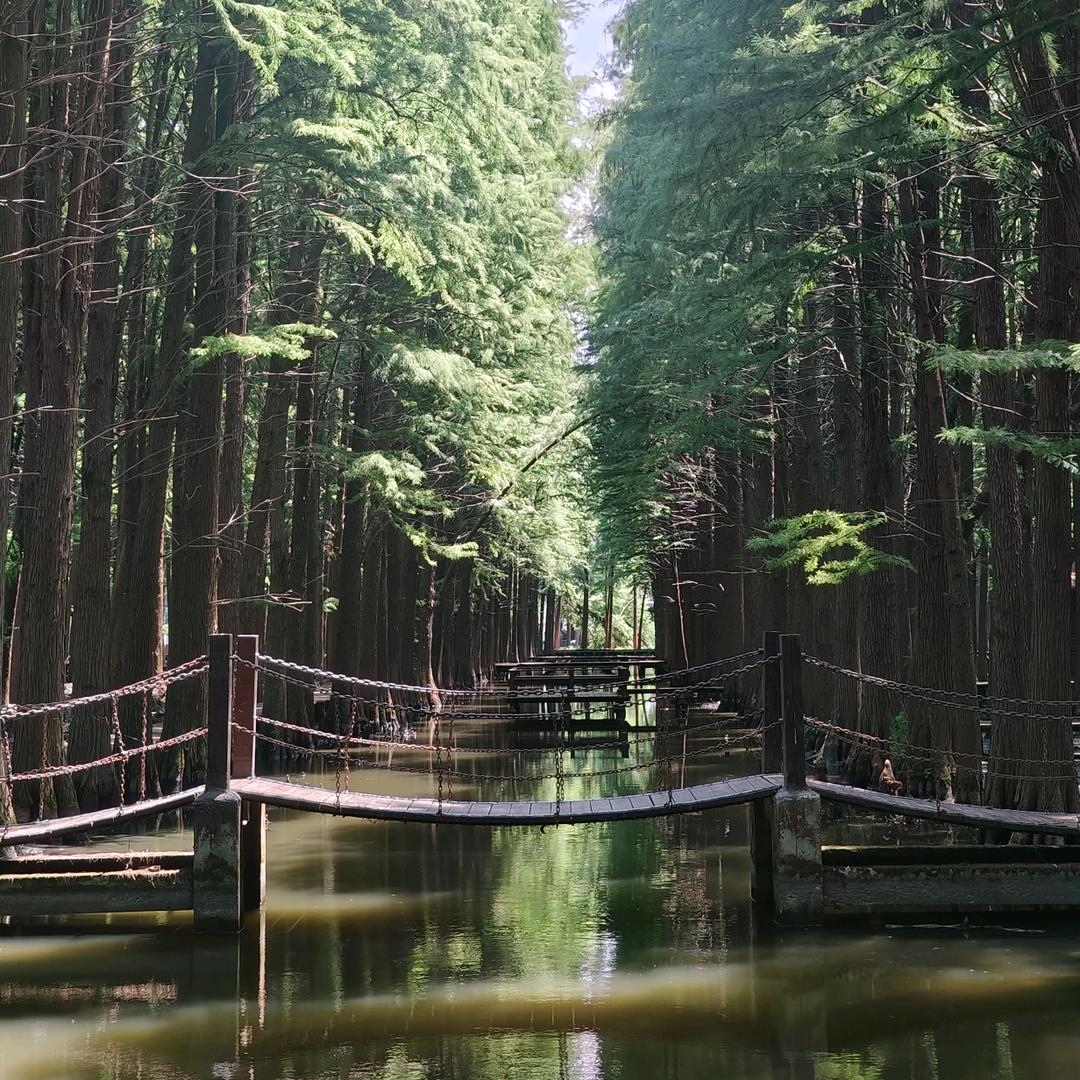旧事酒浓（✈️呼满对飞✈️）