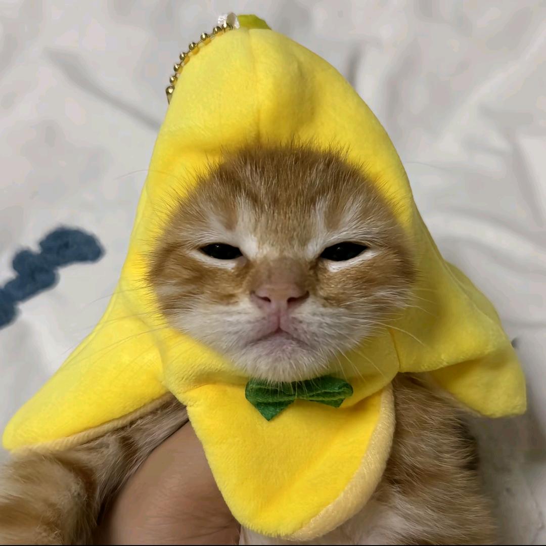 被子外面很危险