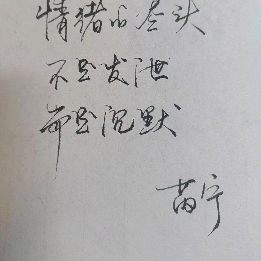 史芮宁