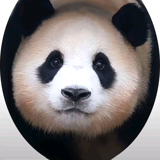 @兮兮