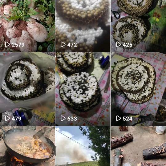 网络谈真心，你真我就真