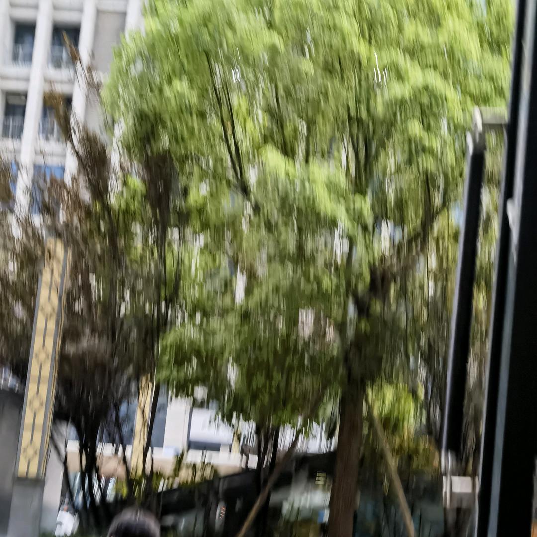 八点的太阳