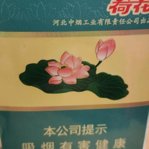 陈蒙厚爱