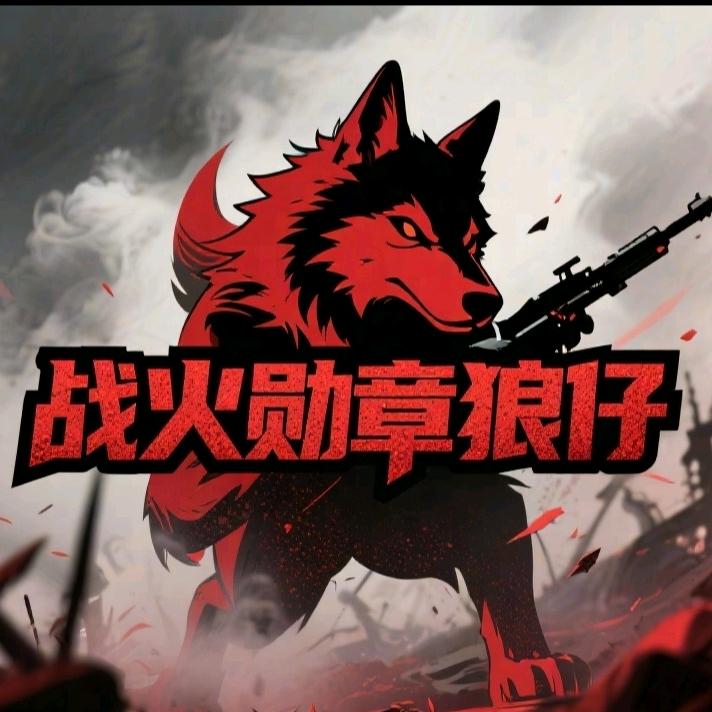 战火-狼仔