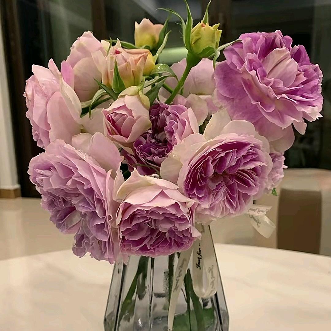飘灵儿🌸⁹²¹¹