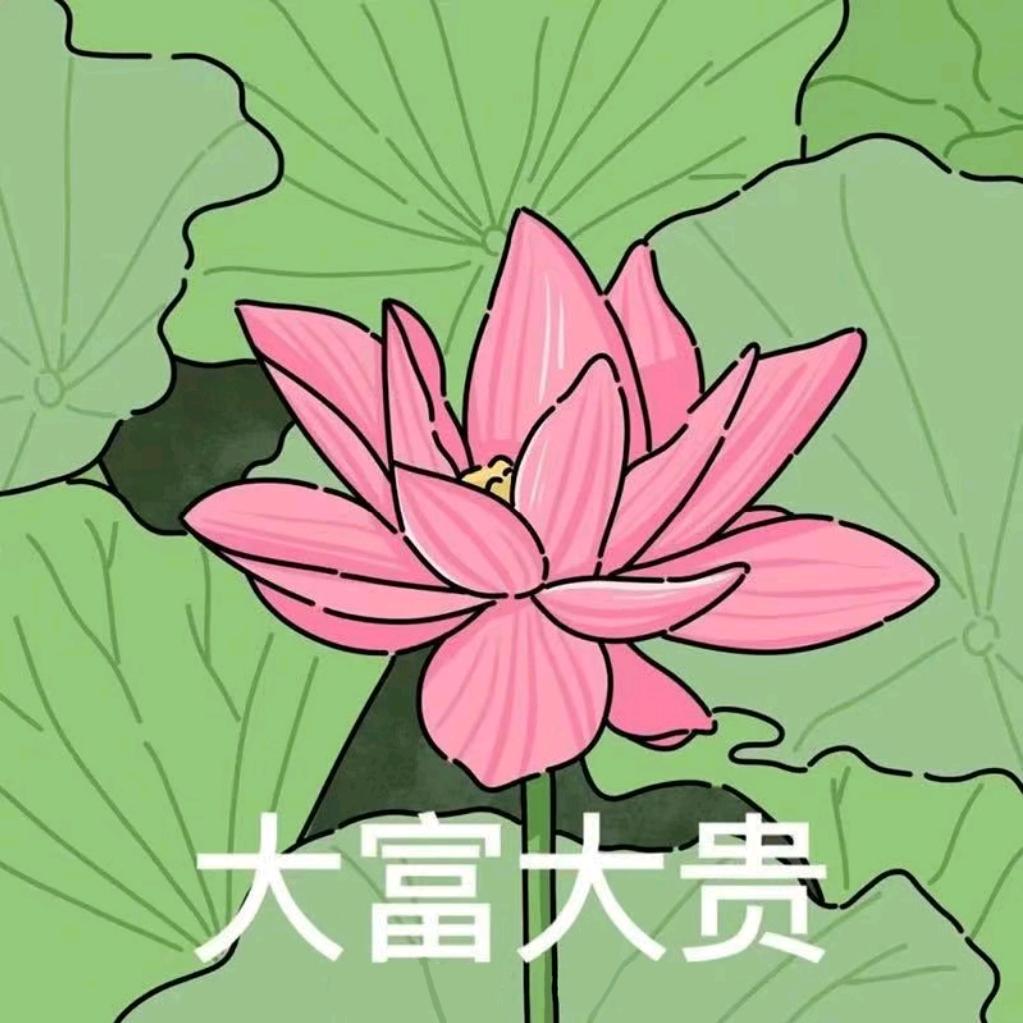 金儿个吃什么？