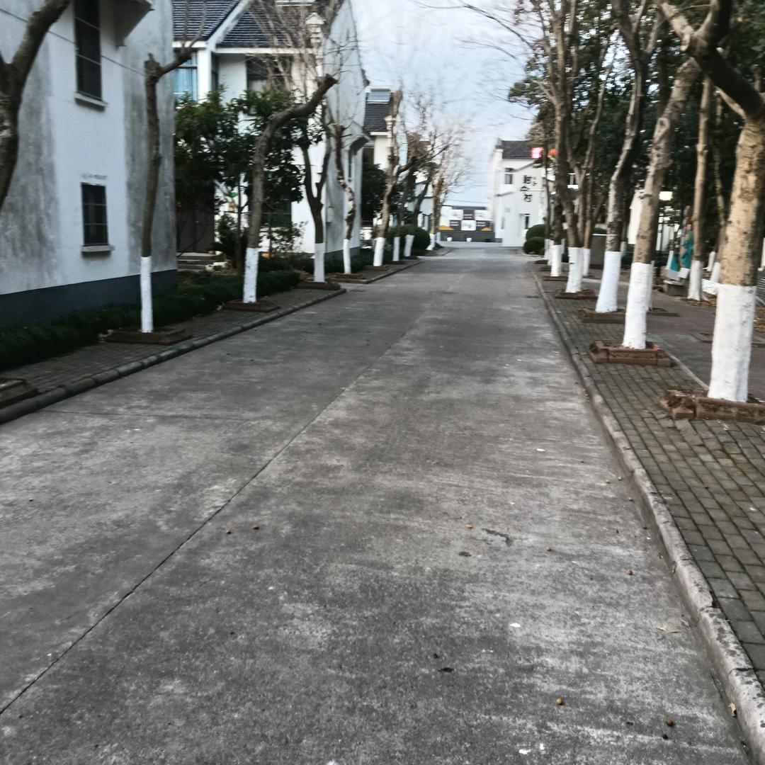中缅通