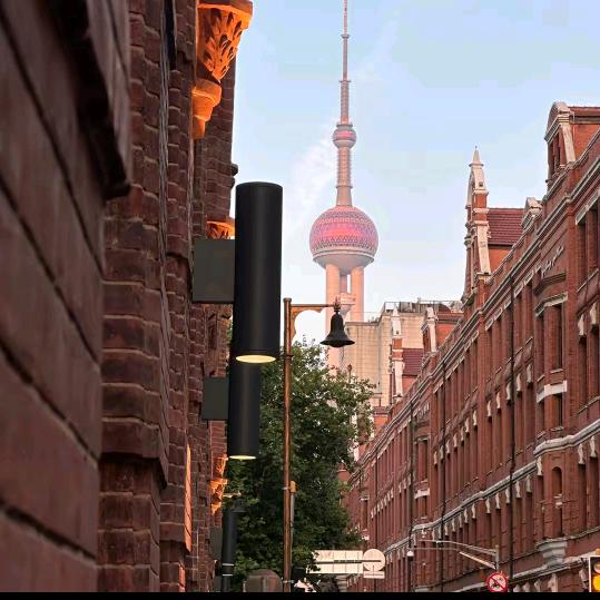 远山的少年（远山的少年心无疆)