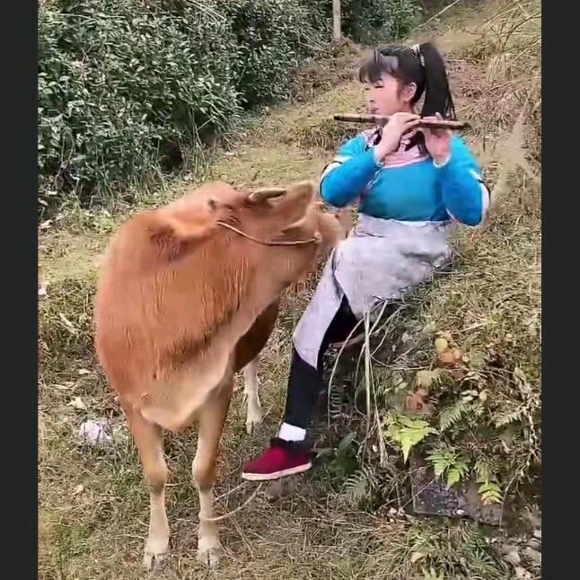 童年的记忆