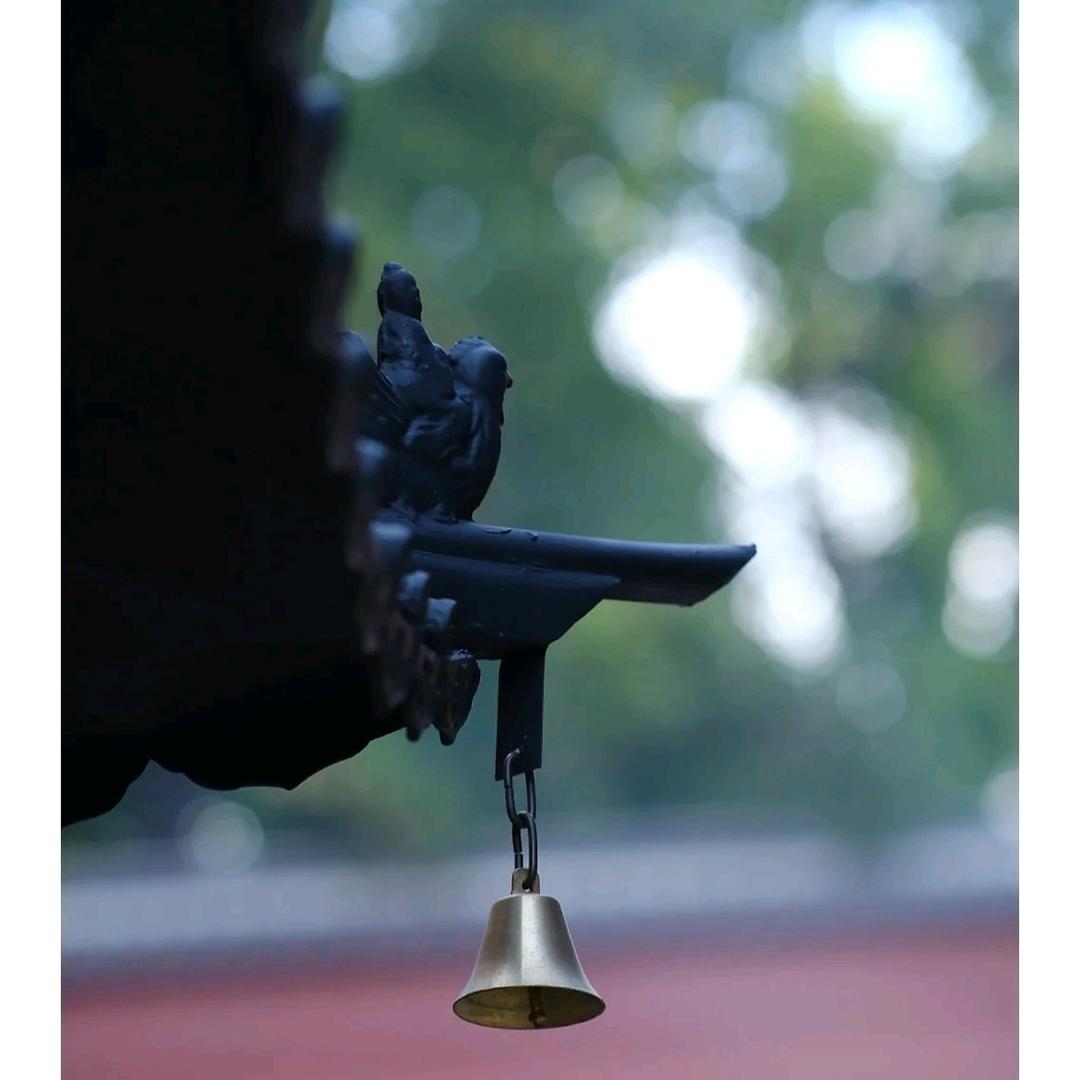 啩为师