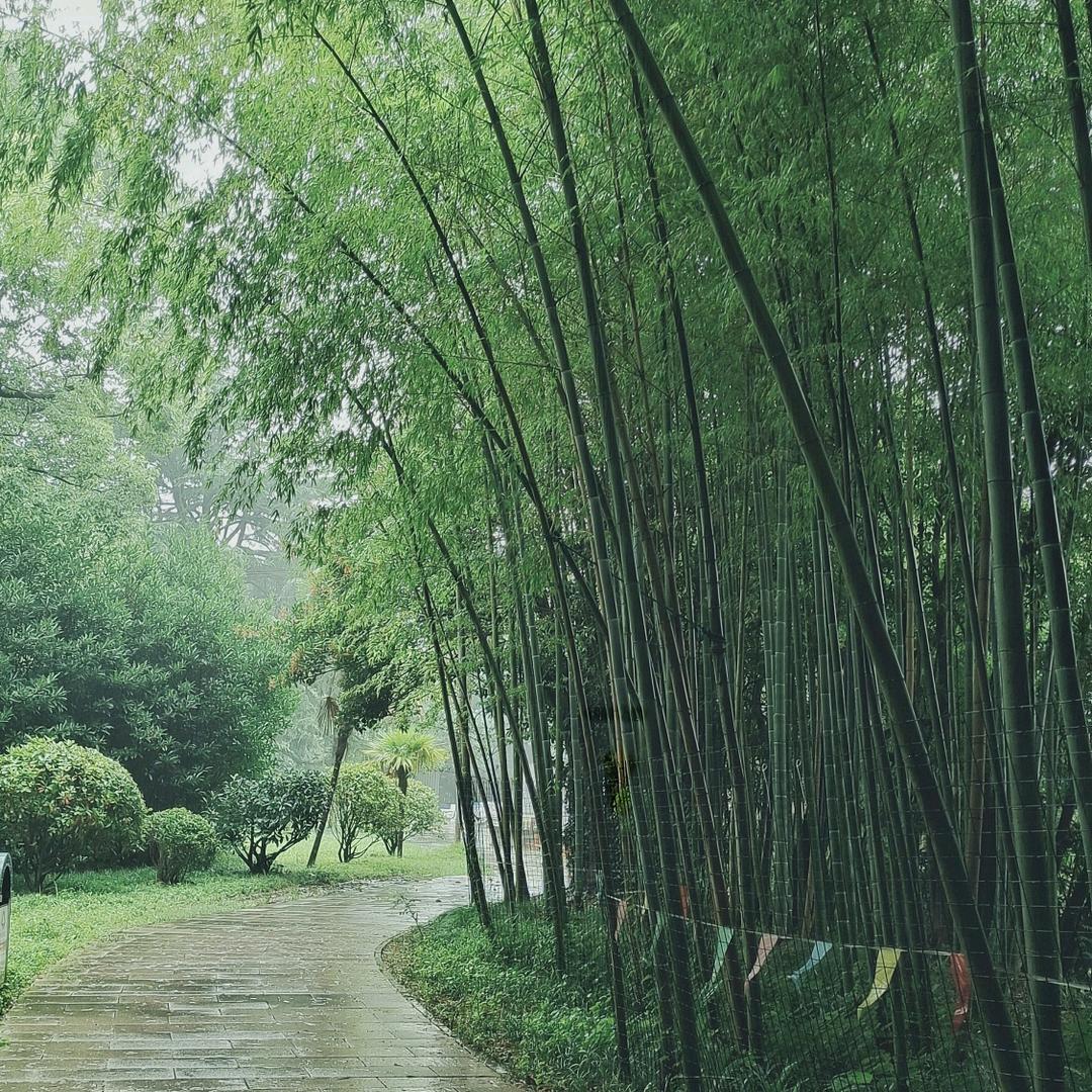 孤独的我