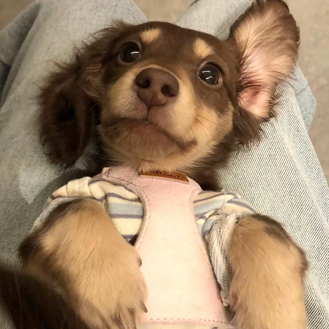 (^_^)
