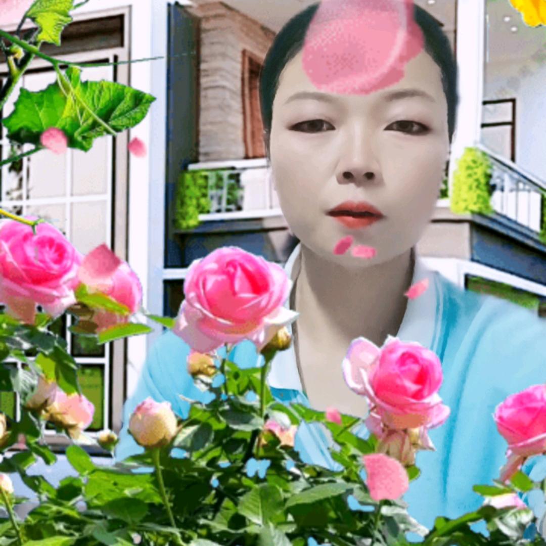 岚男妈