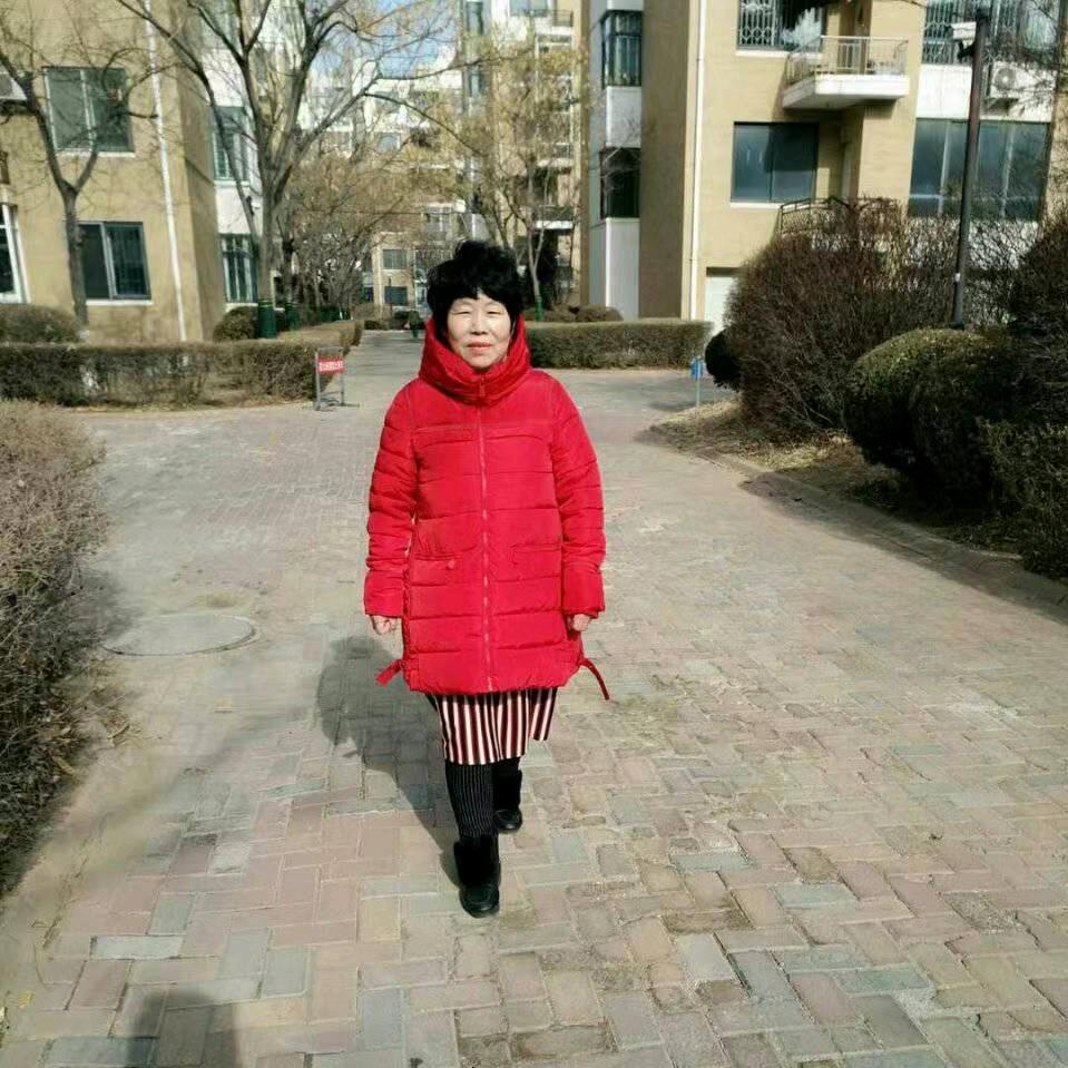 蔷薇花