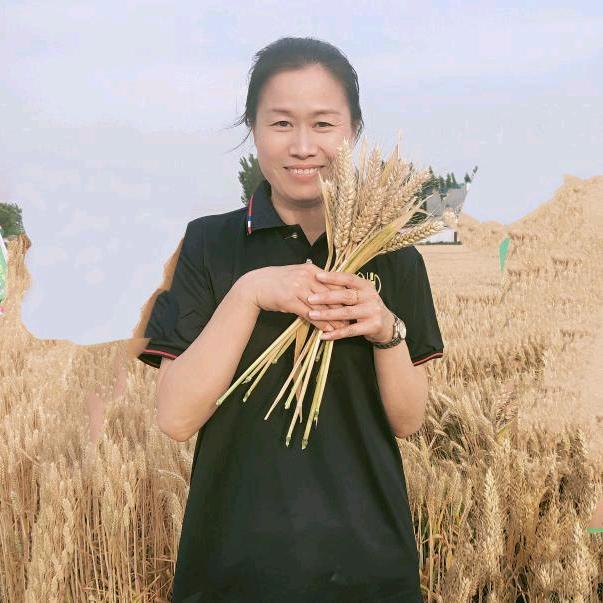 百农小麦李老师