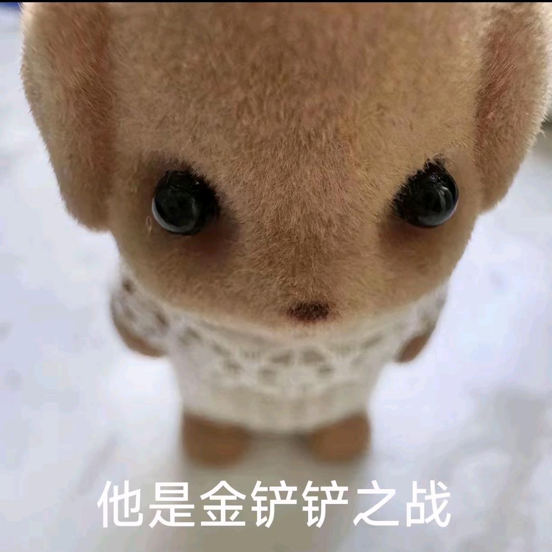 裕木脑袋