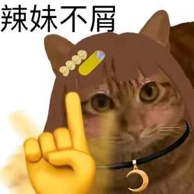 菜鸟玩家🤡👋🏿