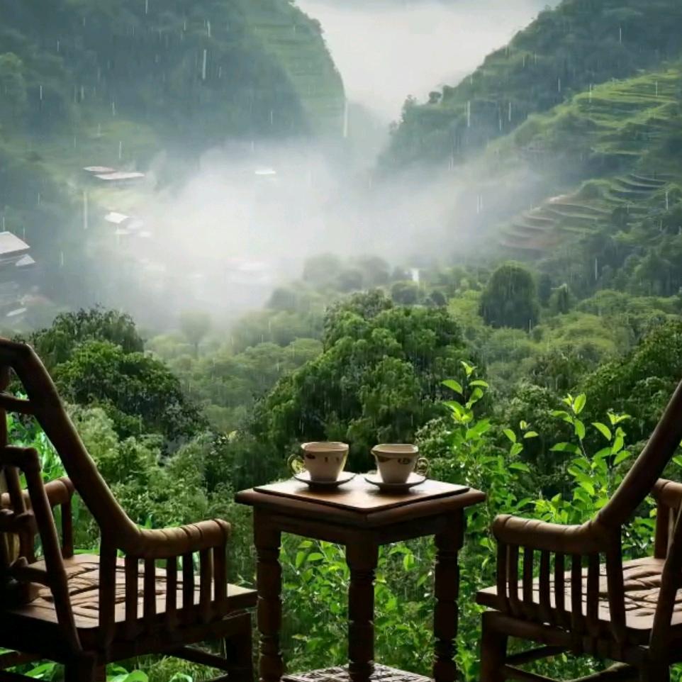半山听雨**
