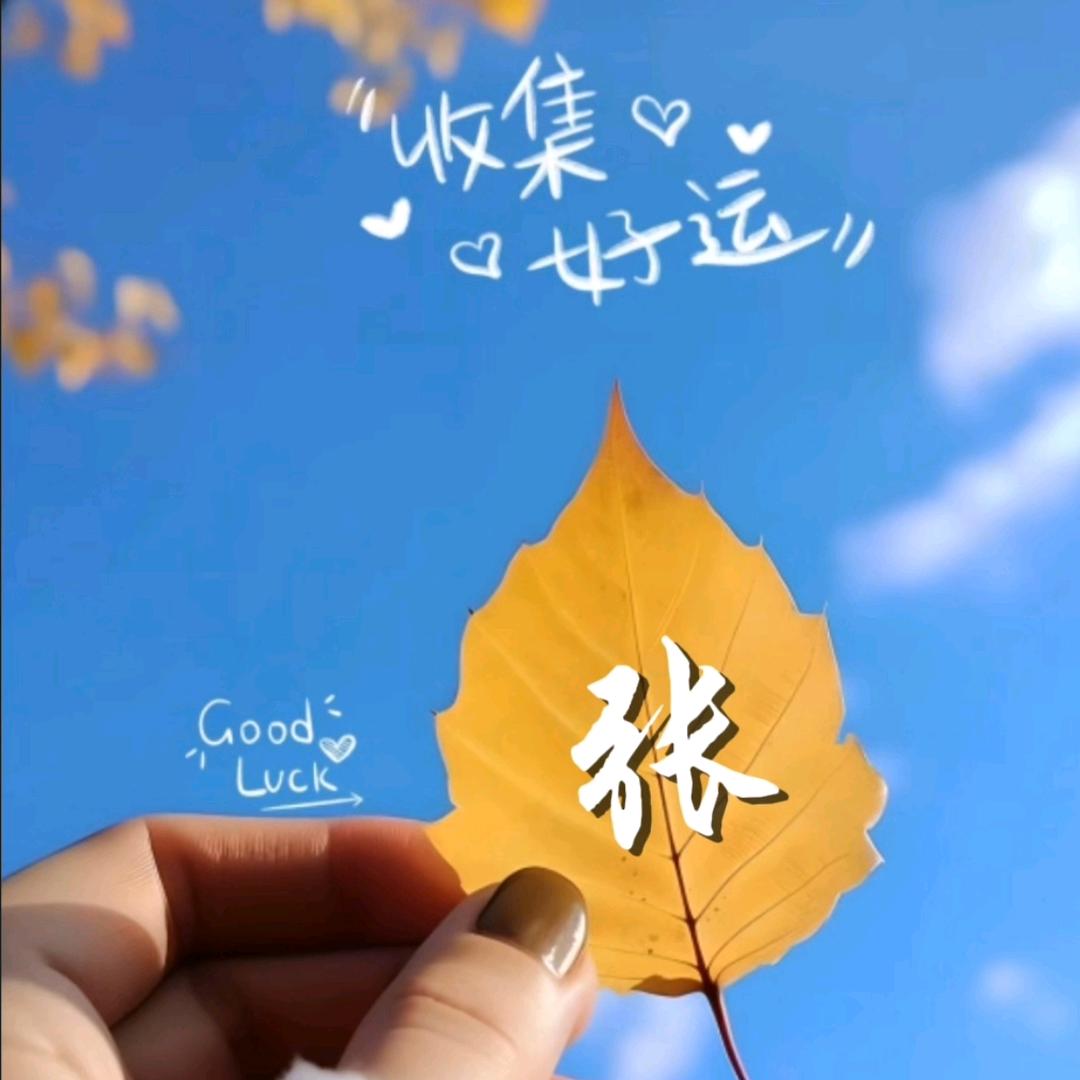 静心