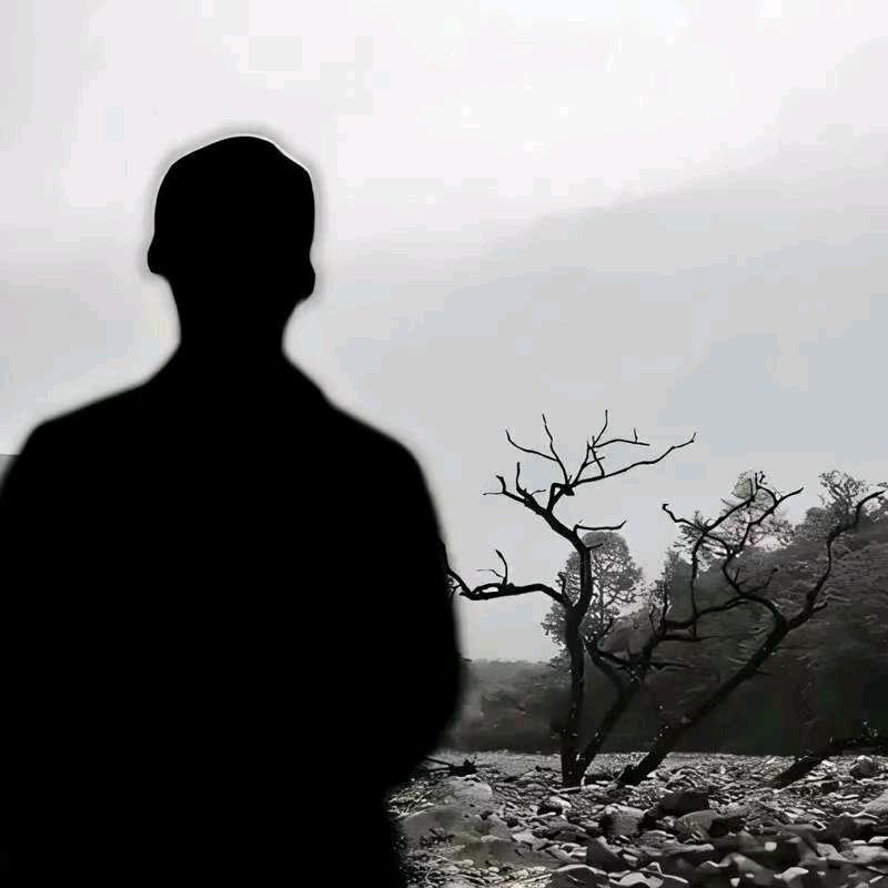 风行天下x