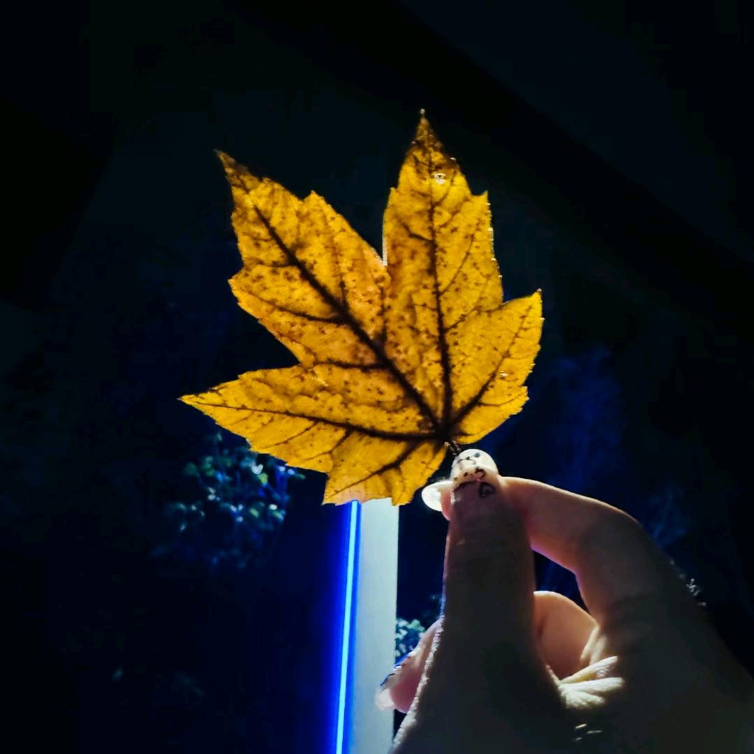 ￡ღ遇᭄ꦿ见ℒℴѵ