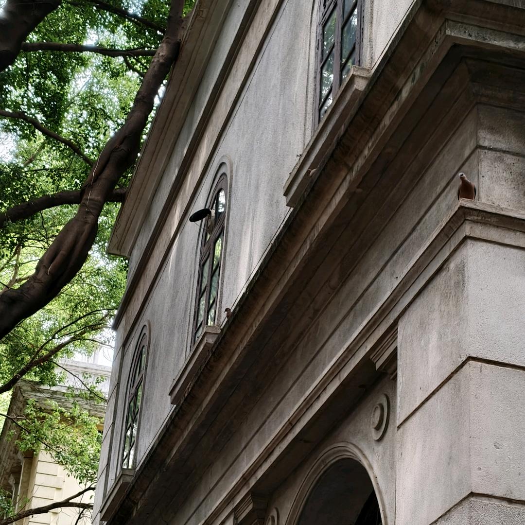 鸭子不会游泳