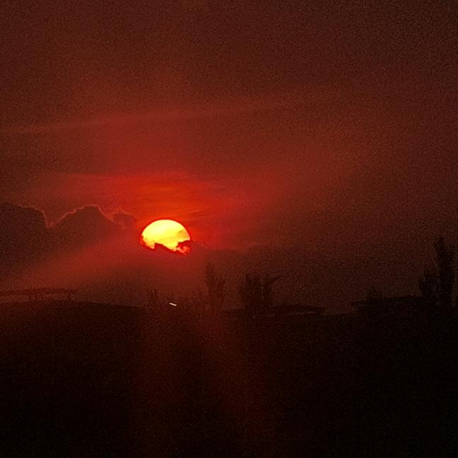 喜欢拍照的熊大